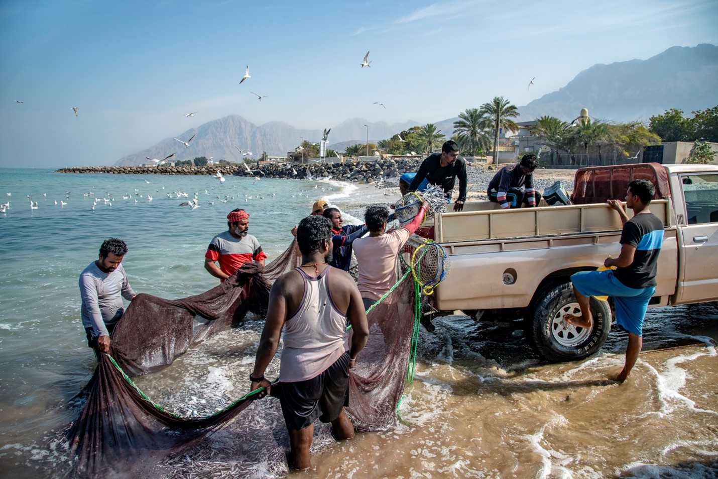 A group of people fishing on beach